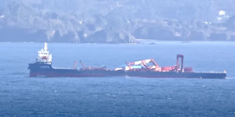 New gantry cranes topple from ship off Spain