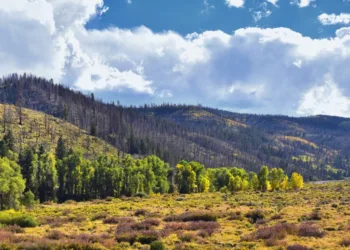 Supreme Court justice will not take part in Uinta Basin Railway case