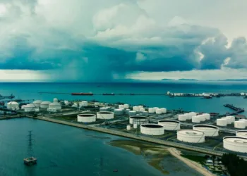 Trading house STX Group buys Marine Olie for biofuels business growth