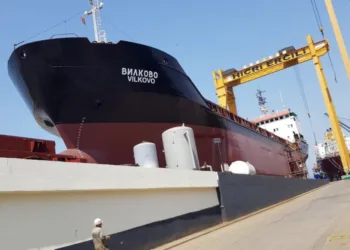 Ukrainian Danube Shipping Company puts entire deepsea fleet up for auction