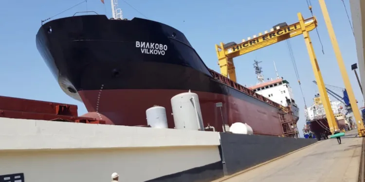 Ukrainian Danube Shipping Company puts entire deepsea fleet up for auction