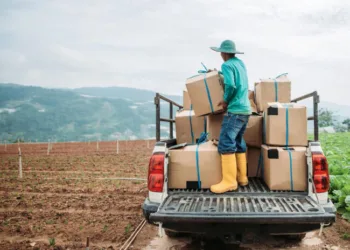 DP World multi-currency stablecoin for global trade settlement