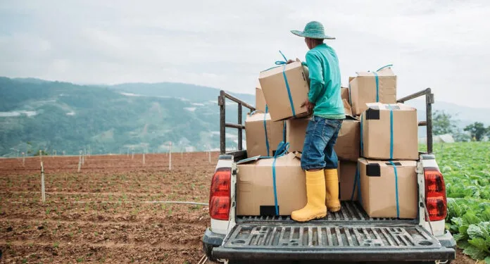 DP World multi-currency stablecoin for global trade settlement