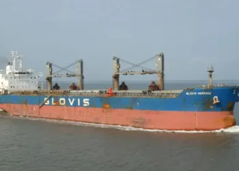 India’s Shreeji Shipping sets sights on supramax bulkers