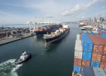 NWSA handles over 3.3 million TEUs in 2024