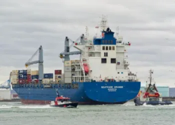 Post-pandemic peak sees frenzied ship buying in 2024