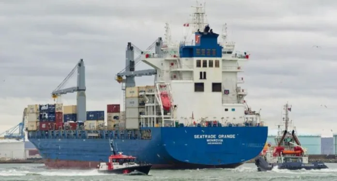 Post-pandemic peak sees frenzied ship buying in 2024