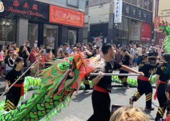 Shipping’s ultimate Year of the Snake fortune guide published today