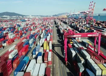 Yeosu-Gwangyang Port Authority scores as MSC and Gemini add calls