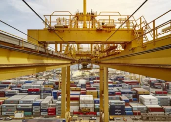 DP World hits record volumes in 2024