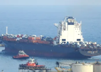 Euroseas fixes charter for boxship duo