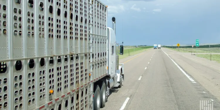Feds respond to egg shortage by easing truck driver work rules