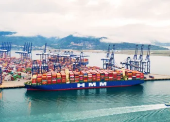 HMM earnings and profits rise in 2024