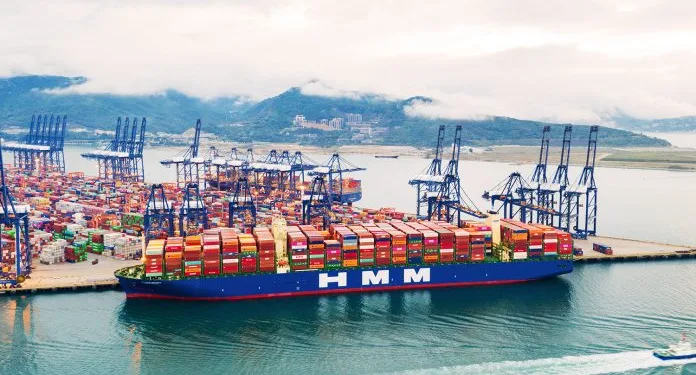 HMM earnings and profits rise in 2024