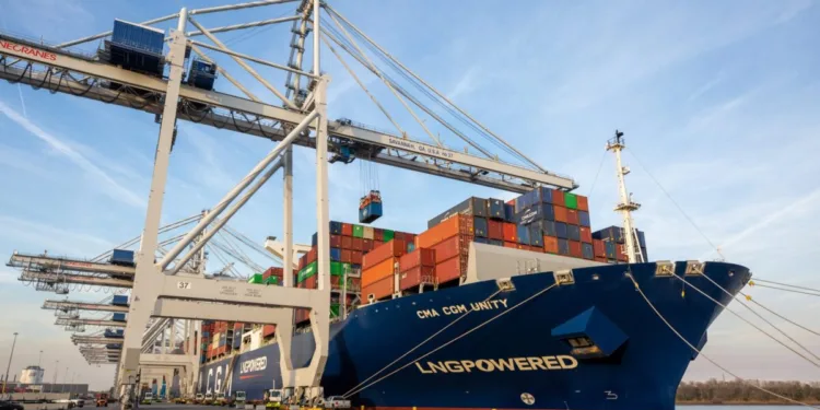Savannah containers up 11.4% in first-half FY2025