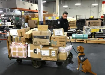 White House pauses de minimis ban on Chinese e-commerce