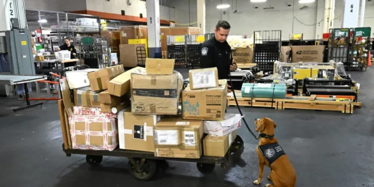 White House pauses de minimis ban on Chinese e-commerce