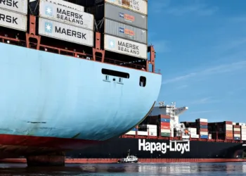 Box charter to freight rate ratio hits record high of 289%