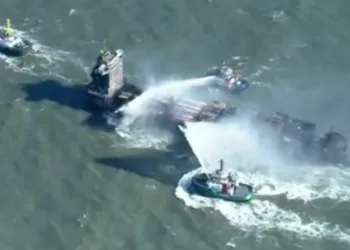 Captain arrested on suspicion of gross negligence manslaughter over North Sea collision