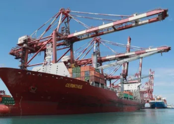 DP World sees record revenue, but profit slips