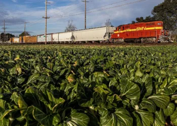 OmniTRAX joint venture acquires California short line railroad