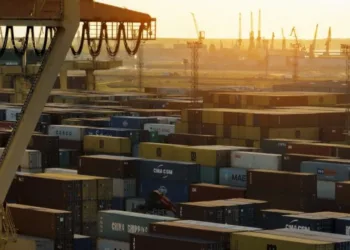 Riga Universal Terminal upgrades operations with GullsEye TOS