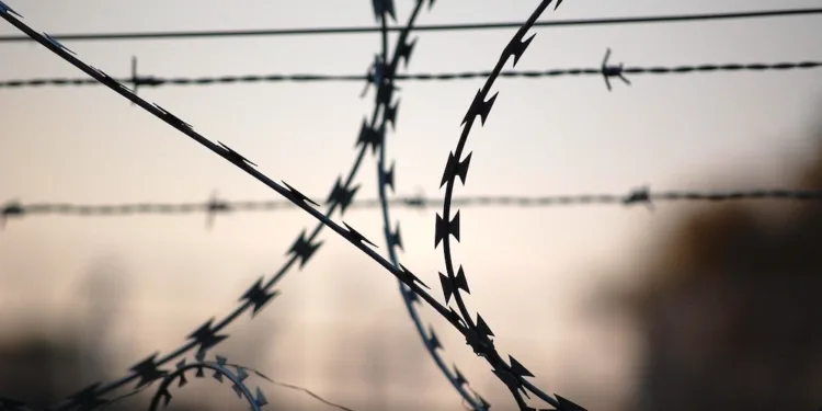 The curse of criminalisation