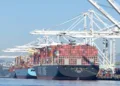 Trans-Pacific container rates below lowest 2024 levels: Freightos