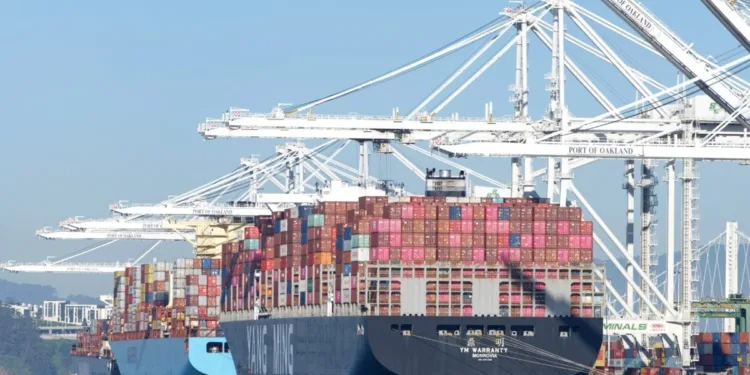 Trans-Pacific container rates below lowest 2024 levels: Freightos