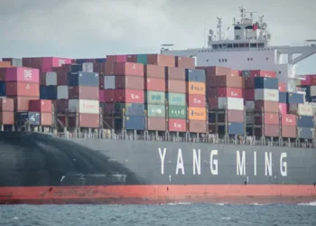 Yang Ming profit soars on Red Sea diversions, emerging Asia markets