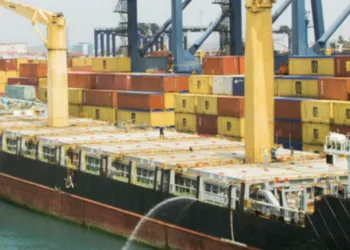 As China blocks terminals deal, BlackRock chief says ports ‘will define the future’