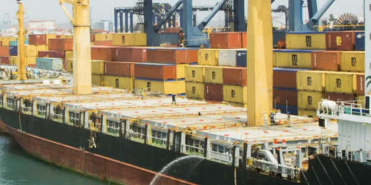 As China blocks terminals deal, BlackRock chief says ports ‘will define the future’