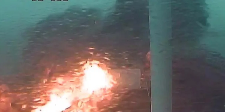 Both sides file claims in North Sea collision case