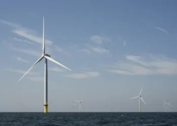 Dutch government scales back offshore wind to preserve fisheries