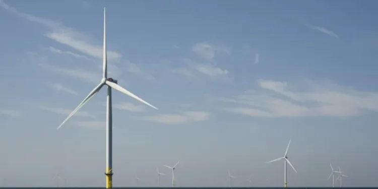 Dutch government scales back offshore wind to preserve fisheries