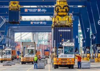 Early liner peak season gets underway