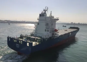 Euroseas seals long-term boxship charter at bumper rate