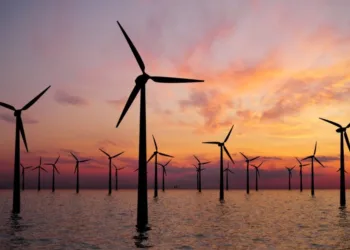 France risks missing offshore wind target without policy reform