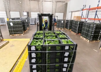 Fresh food gets faster with Grupo Mas and Cimcorp partnership