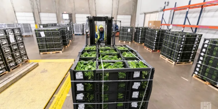 Fresh food gets faster with Grupo Mas and Cimcorp partnership
