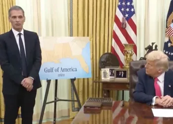 Global shipping ‘stifled’ by Trump’s tariffs