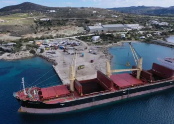 Nova Marine Carriers forms shipping venture with steelmaker Marcegaglia