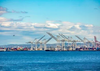 NWSA continues to boost container imports