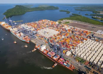 Paranaguá Container Terminal sees record volumes for poultry and beef shipments