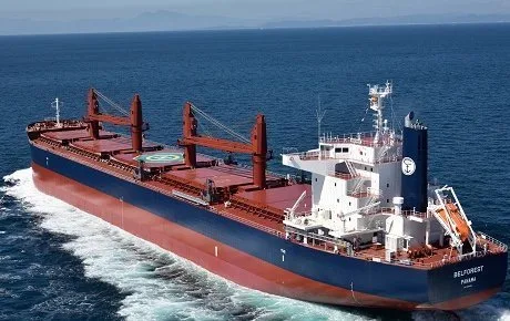 Skarsgard quits Belships