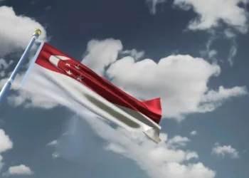 Top 10 Singapore-Flagged Vessel Owners and Operator