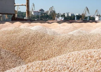 Trump targets Russian interests moving stolen Ukrainian grain to fund the Houthis