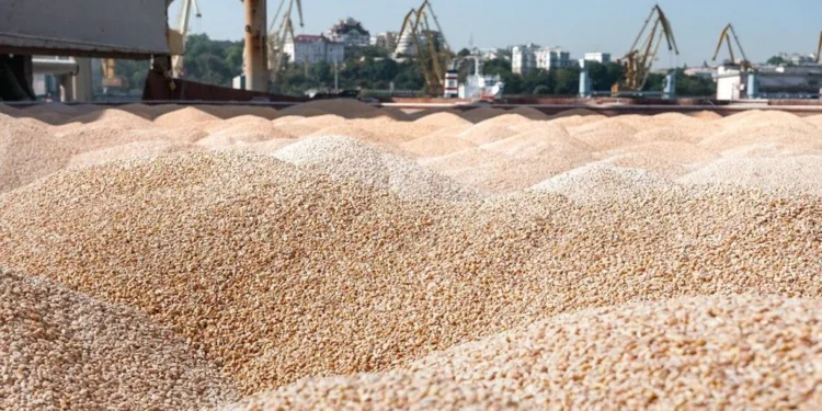 Trump targets Russian interests moving stolen Ukrainian grain to fund the Houthis