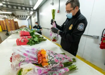 Vertical Cold Storage acquires Detroit operator Arctic Logistics