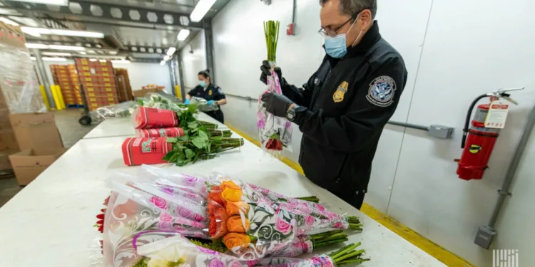 Vertical Cold Storage acquires Detroit operator Arctic Logistics